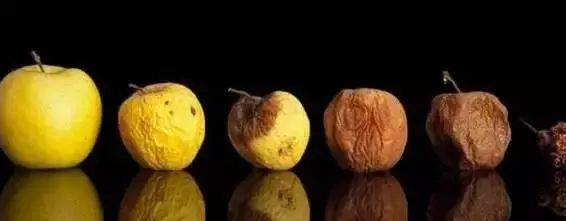 去除腐烂部分的果蔬还能吃吗？