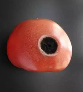 去除腐烂部分的果蔬还能吃吗？