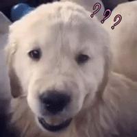 2022年贵州省贵阳市年货节,贵阳2020年年货节