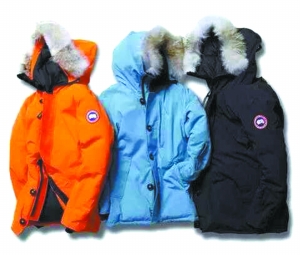 国内山寨加拿大鹅都是哪里做的,加拿大鹅远征山寨最还原