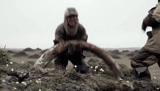 近期网上能看的十部好片,好看的好片推荐一下