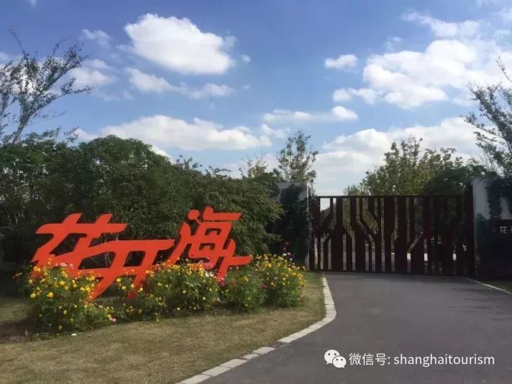 上海年卡景点,上海旅游年卡景点一览表