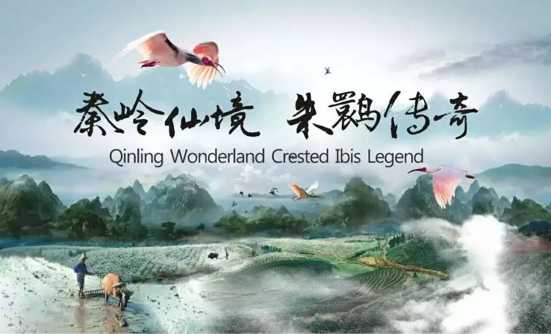 2023年的第一场旅行从成都开始,2019年汉中旅游攻略