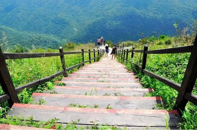 2023年的第一场旅行从成都开始,2019年汉中旅游攻略