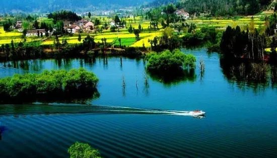 2023年的第一场旅行从成都开始,2019年汉中旅游攻略