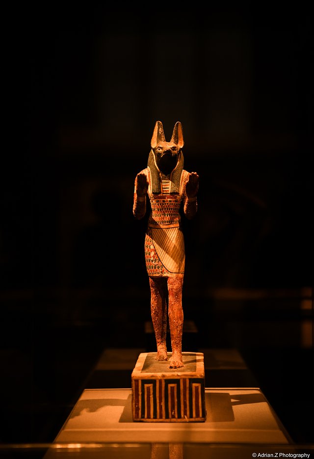 疯狂美国,疯狂美国完整视频