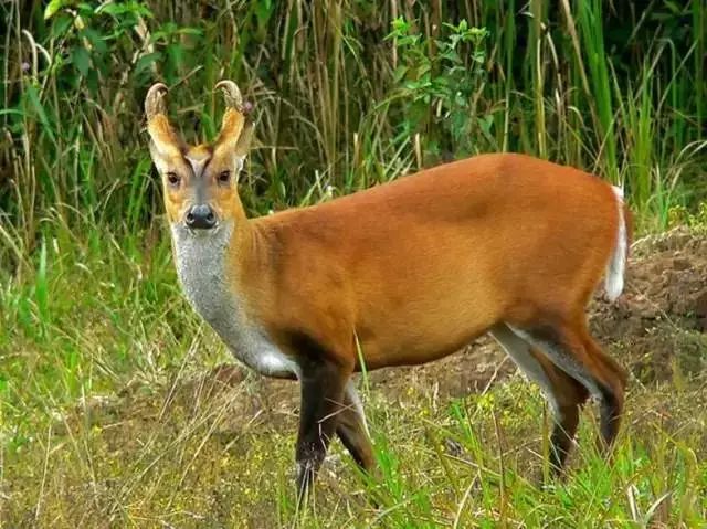 您有一份脱单攻略请关注查收,您有一份入冬指南请查收