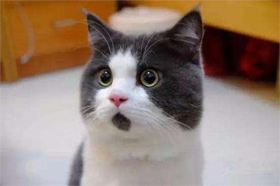 海南回南天如何用空调除湿,海南除湿气最快方法