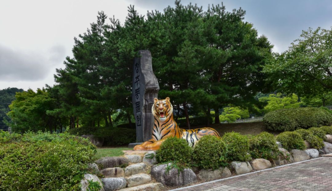 园林大讲堂｜清溪川：韩国人最引以为傲的生态改造项目