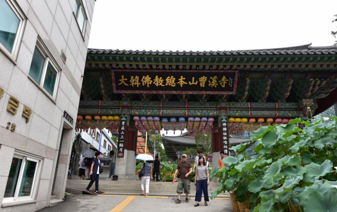 园林大讲堂｜清溪川：韩国人最引以为傲的生态改造项目