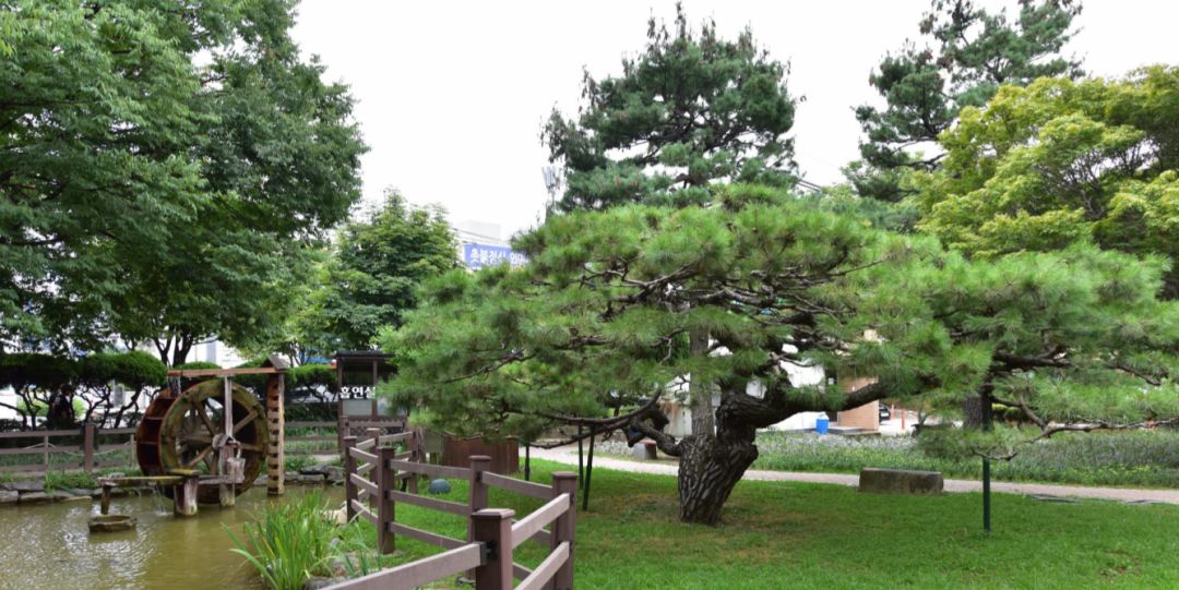 园林大讲堂｜清溪川：韩国人最引以为傲的生态改造项目