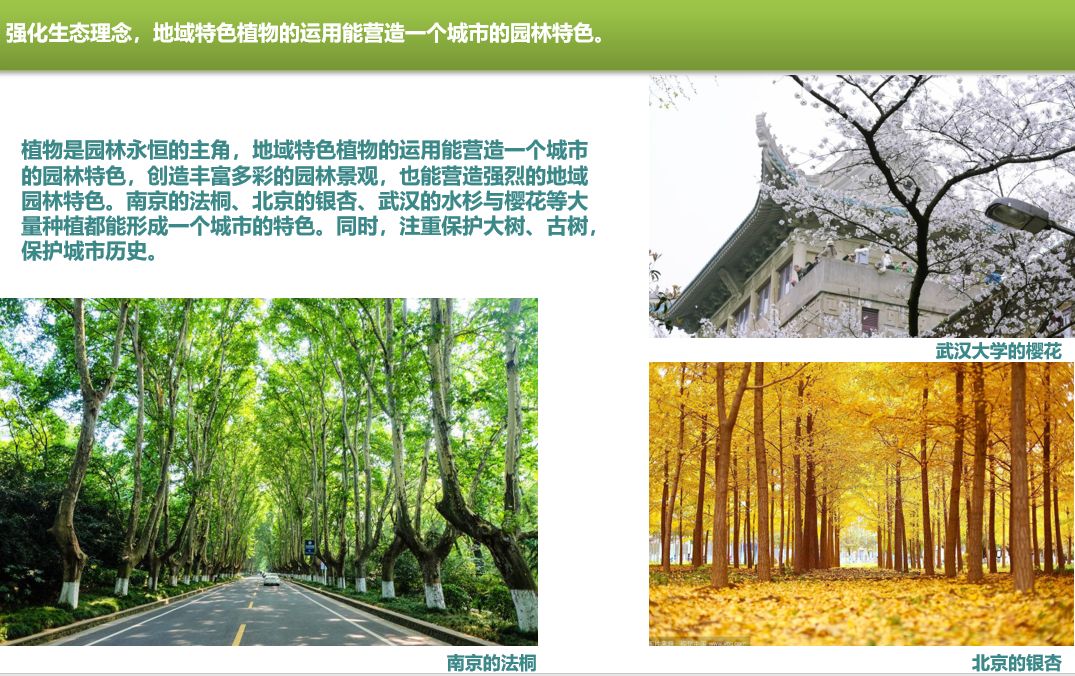 园林大讲堂｜清溪川：韩国人最引以为傲的生态改造项目