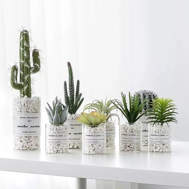 增加生活舒适感的平价小物,增加幸福感的日常小物推荐