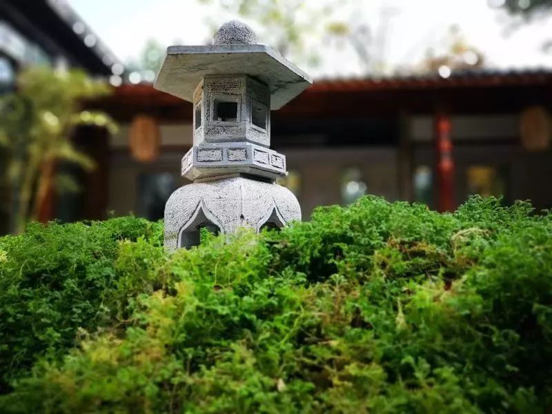 今日小寒一年中最冷的日子来了,今日小寒迎一年中最冷时间