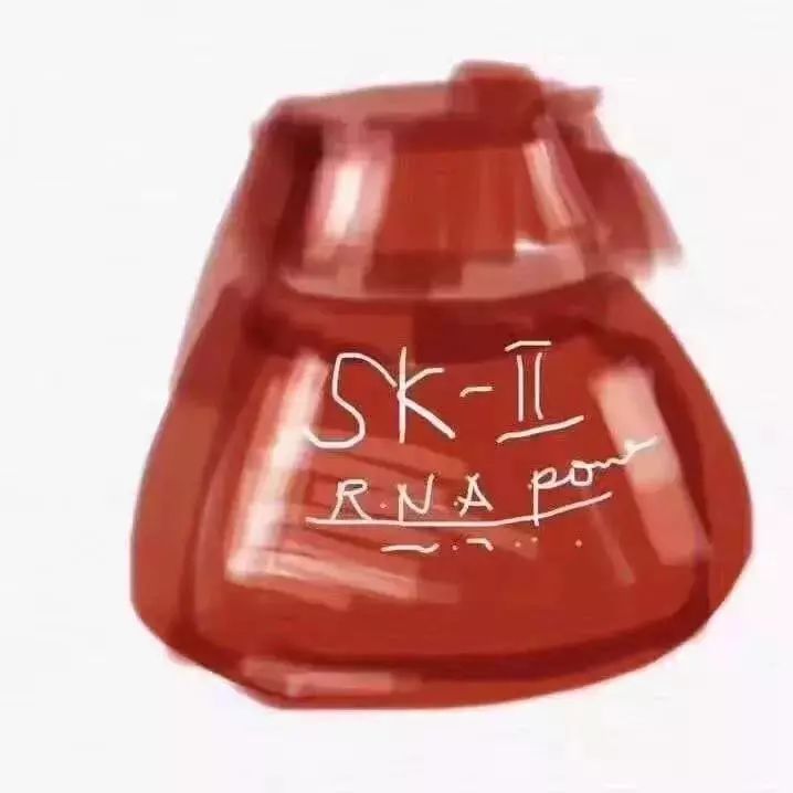 笑死！代购变身灵魂画手：没有点美术功底，还做不了微商了……