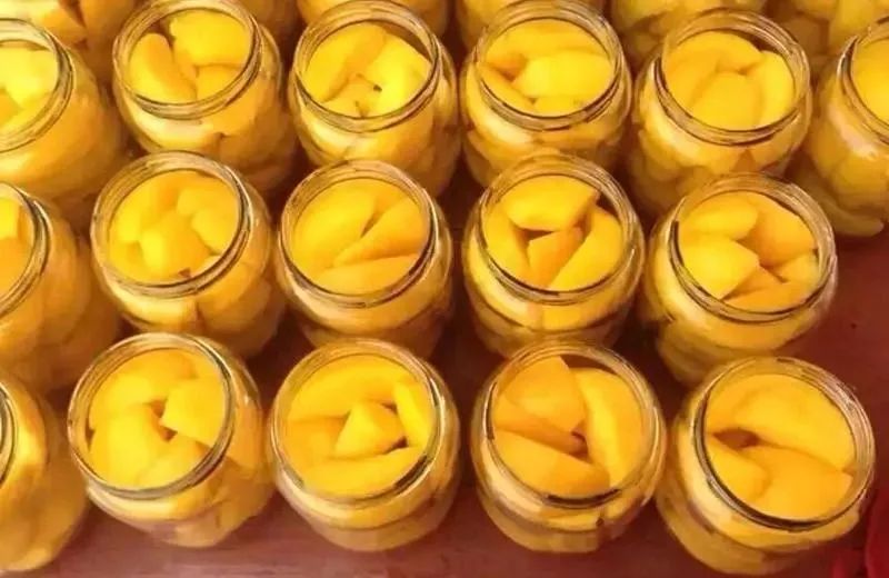 最后一款，你看如何？