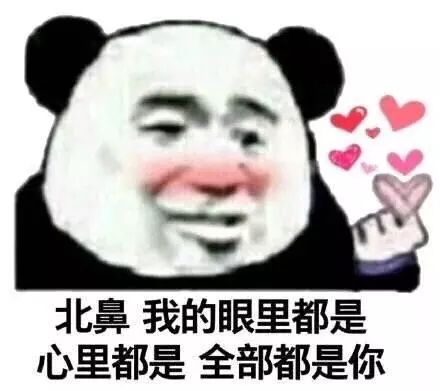 警方捣毁网恋交友5人诈骗团伙,网恋诈骗团伙抓获