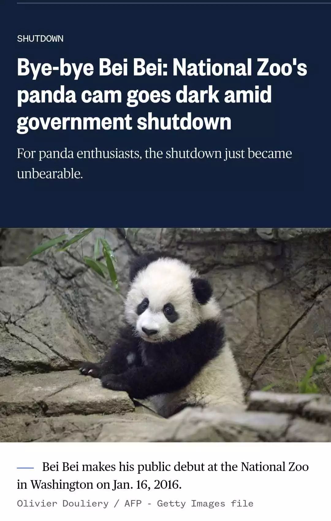 美国政府关门，“直播熊猫”画面被掐！美国网友炸锅：你们把我惹毛了