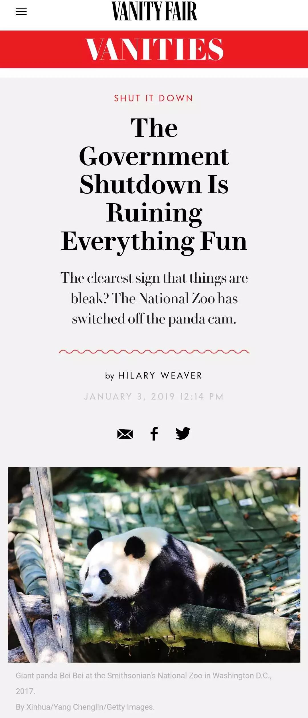 美国政府关门，“直播熊猫”画面被掐！美国网友炸锅：你们把我惹毛了