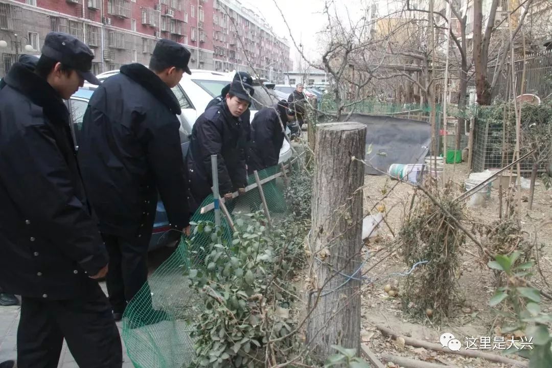 疏解整治促提升重点村,整治提升和整村拆除有啥区别