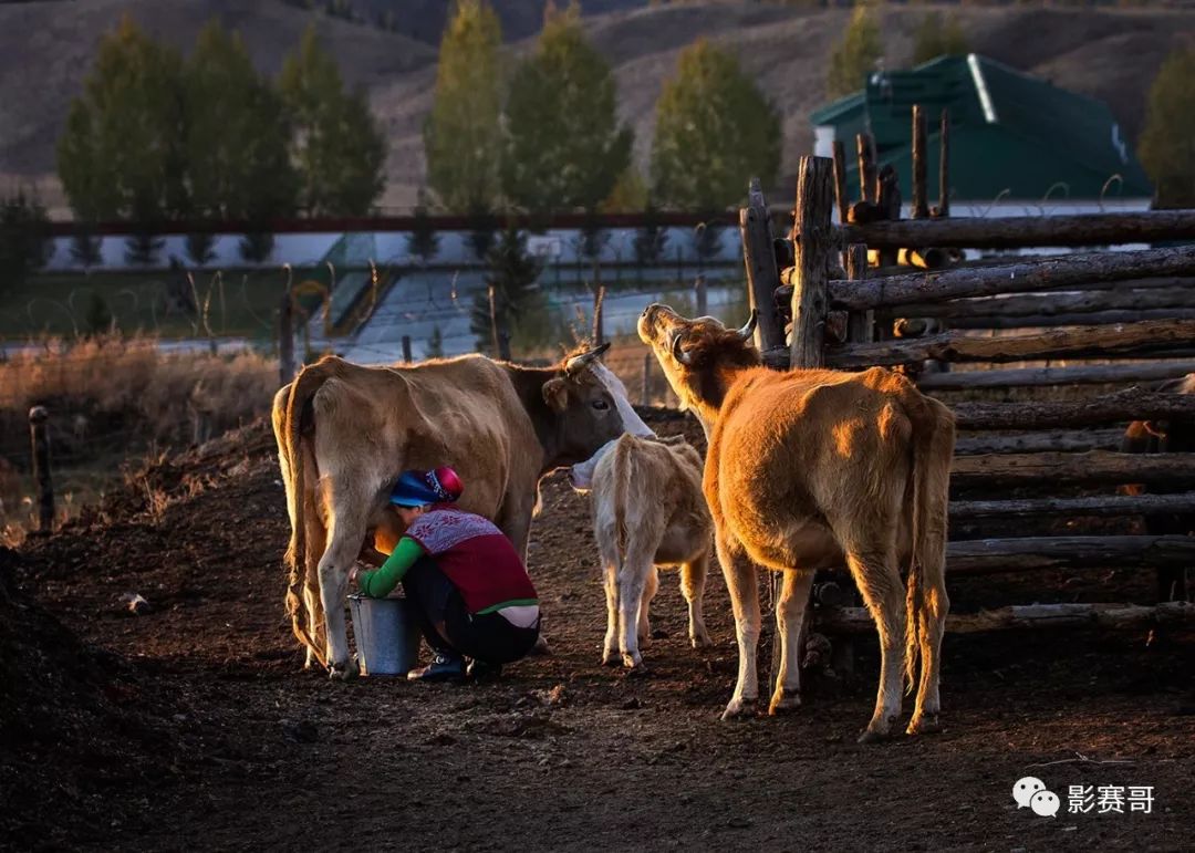 韦勒姆国际数码摄影展获奖揭晓，感觉有的在作秀