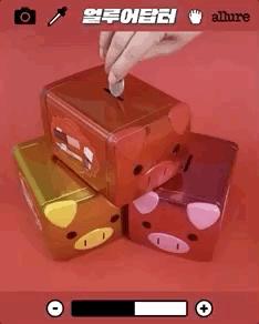 什么？全抢光了？所以杭州到底还能买到哪些猪年限定啊？！