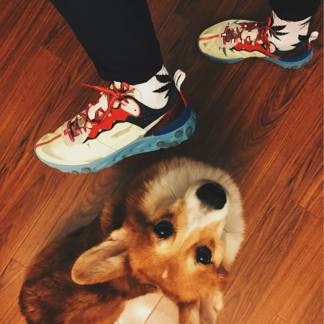 2022年度鞋王,年度鞋王前5