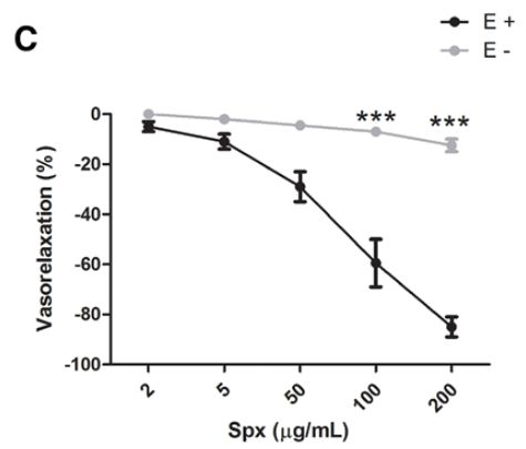 螺旋藻的效果,专家讲螺旋藻真正功效