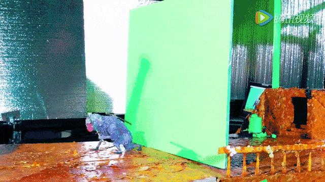 大黄蜂电影票房,大黄蜂全球票房