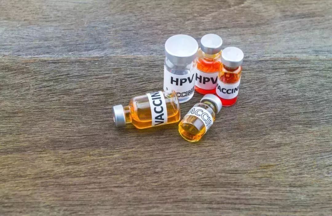 终于等到！九价HPV疫苗在淄博可预约接种啦！