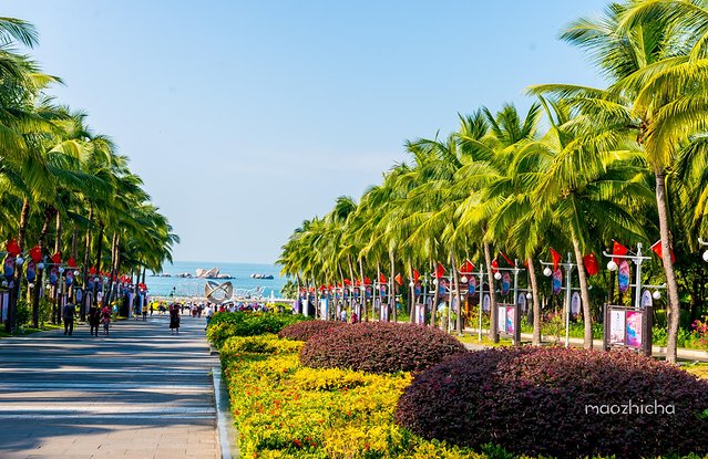 逃离阴冷的成都，到三亚享受这个冬天！