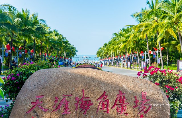 逃离阴冷的成都，到三亚享受这个冬天！