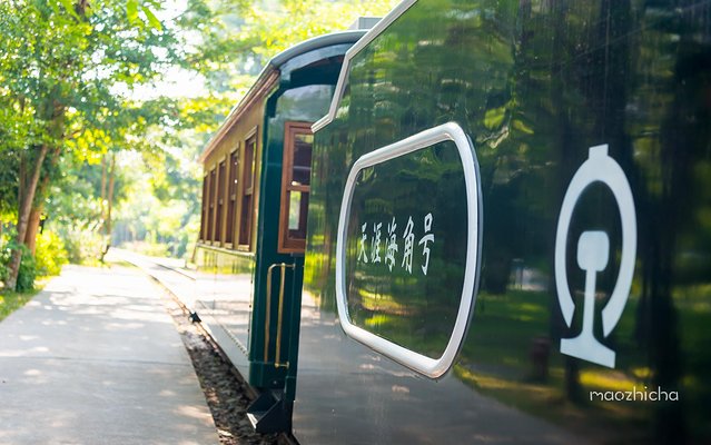 逃离阴冷的成都，到三亚享受这个冬天！