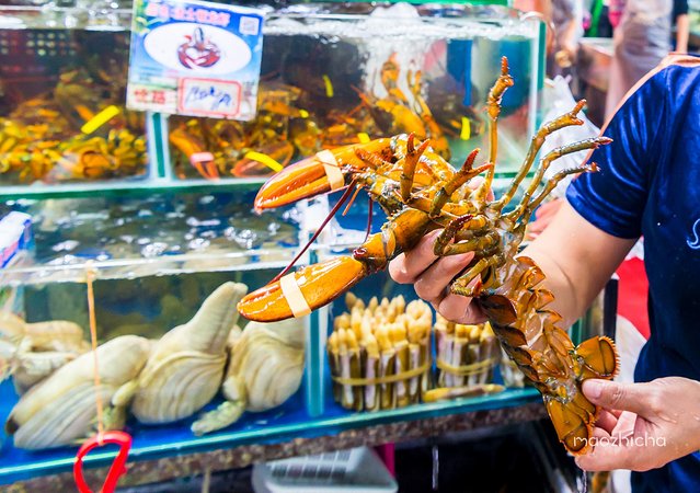 逃离阴冷的成都，到三亚享受这个冬天！