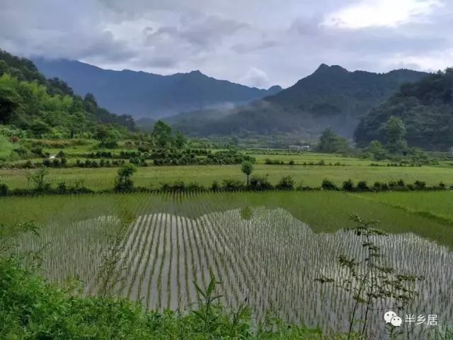 婺源旅游最好的民宿,婺源比较好的民宿推荐一下