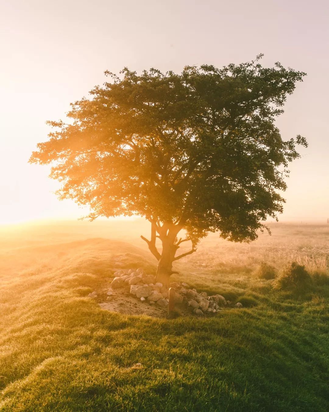哥本哈根丹麦城市,丹麦哥本哈根之旅日记