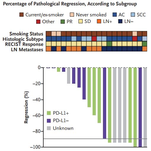 「我们都被结果惊呆了」：免疫新辅助治疗，正在改写早期肺癌的治疗现状，这无疑也是中国临床的新机遇丨奇点搜神记