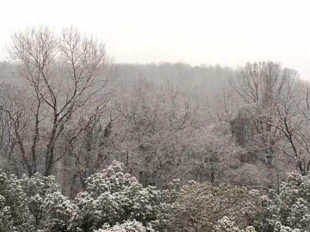 镇江，雪还在下……最新天气和交通情况来了！