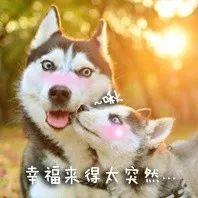 她很主动的跟我表白,好紧张好想表白