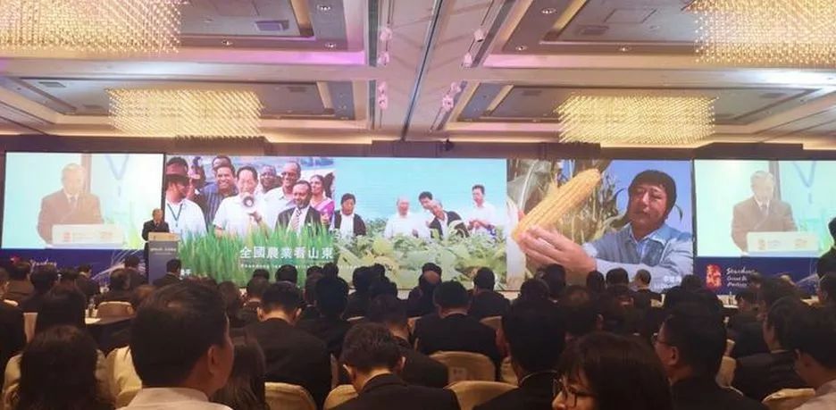 她很主动的跟我表白,好紧张好想表白