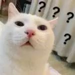 假货重灾区！当心！你手上的CC精华液可能是假的