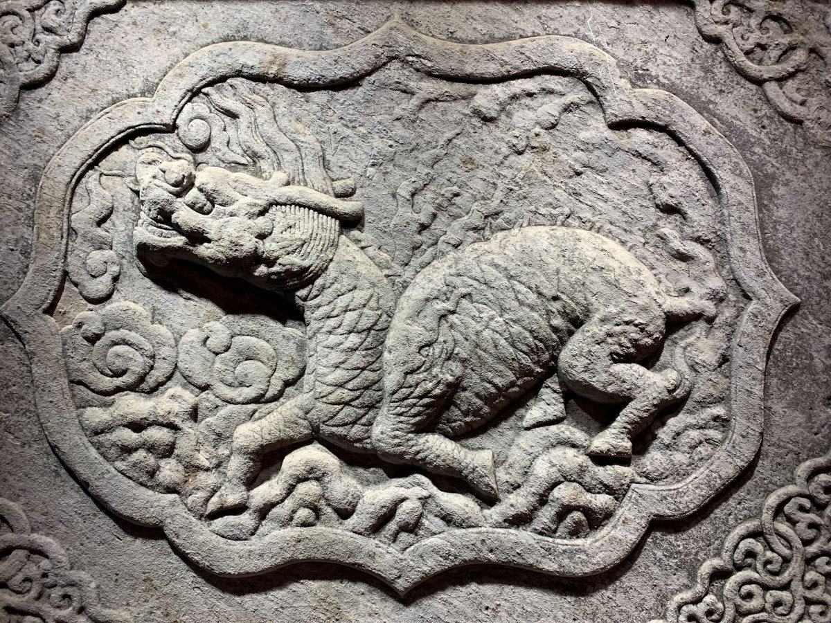 苹果xr主要是哪个摄像头拍照,苹果xr到苹果15前后置摄像头