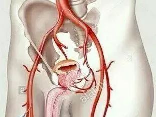 介入科普合集,介入健康科普短视频