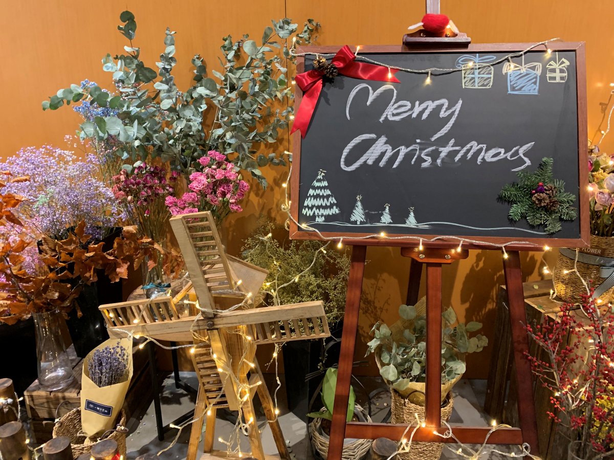 苹果xr主要是哪个摄像头拍照,苹果xr到苹果15前后置摄像头