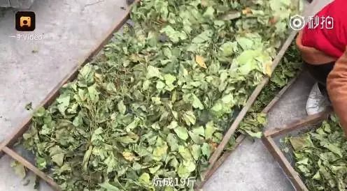 农村不可思议的东西,不可思议的新疆手工艺品