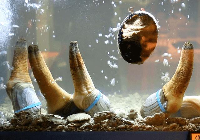 坐拥150㎡私家花园的火锅店，竟然还配空姐服务！