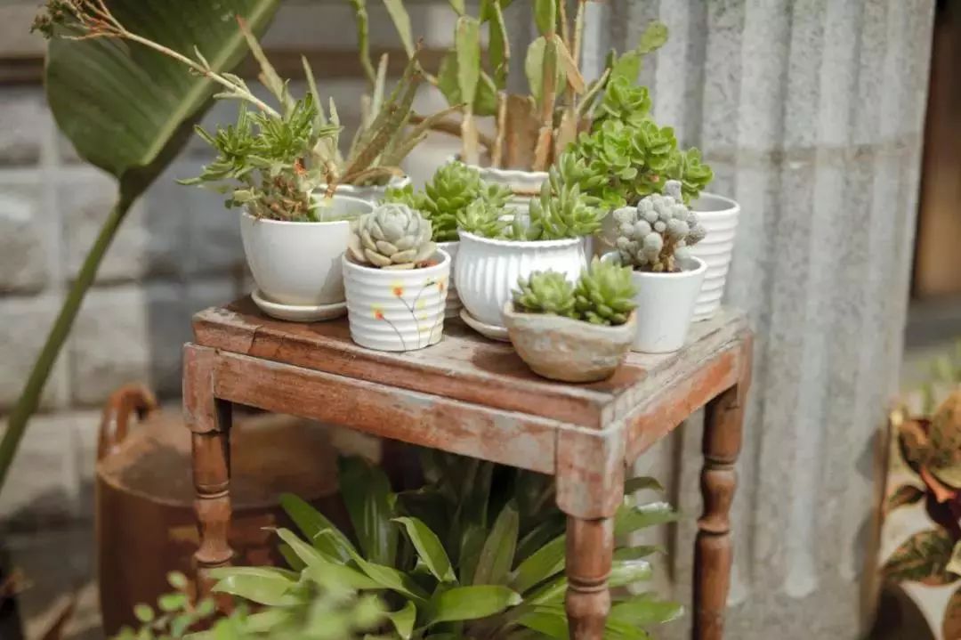 她辞职卖车，在孕期打造厦门最IN民宿，最火的青春偶像剧在这里诞生！