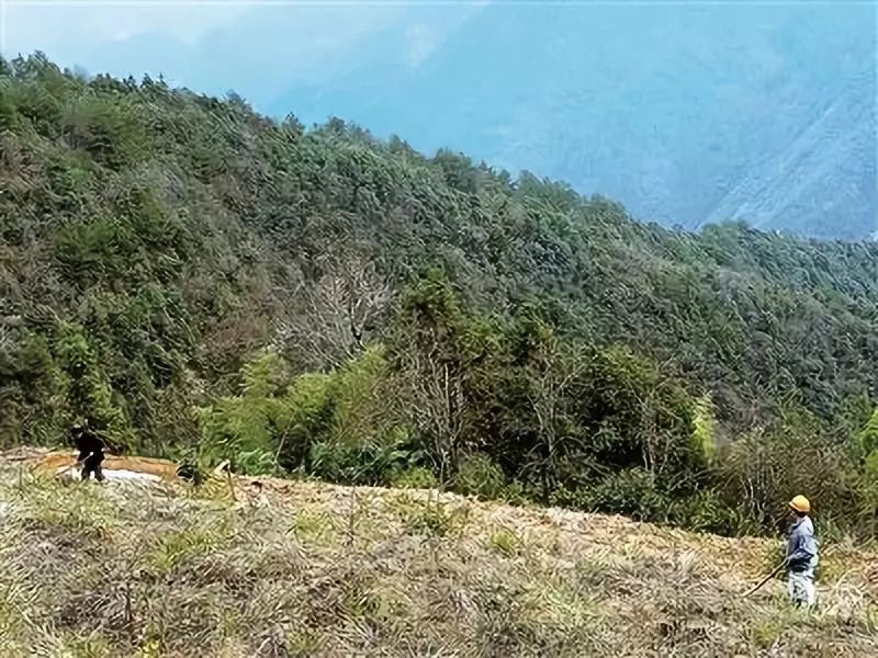 放下百万年薪回小县城,放下工作回到农村老家