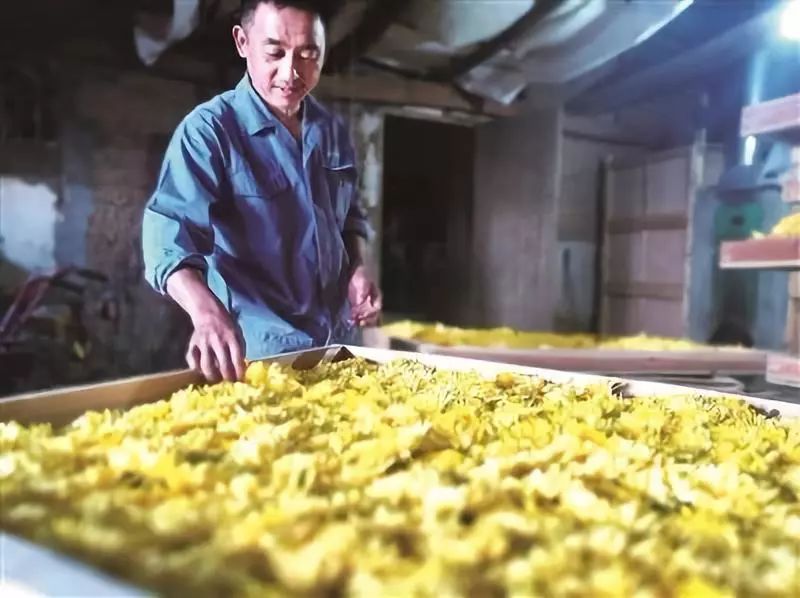 放下百万年薪回小县城,放下工作回到农村老家