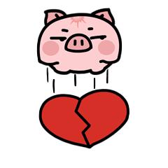 2019年春节去哪吃喝玩乐？这份攻略为你详细安排！